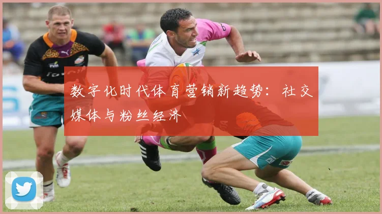 数字化时代体育营销新趋势：社交媒体与粉丝经济