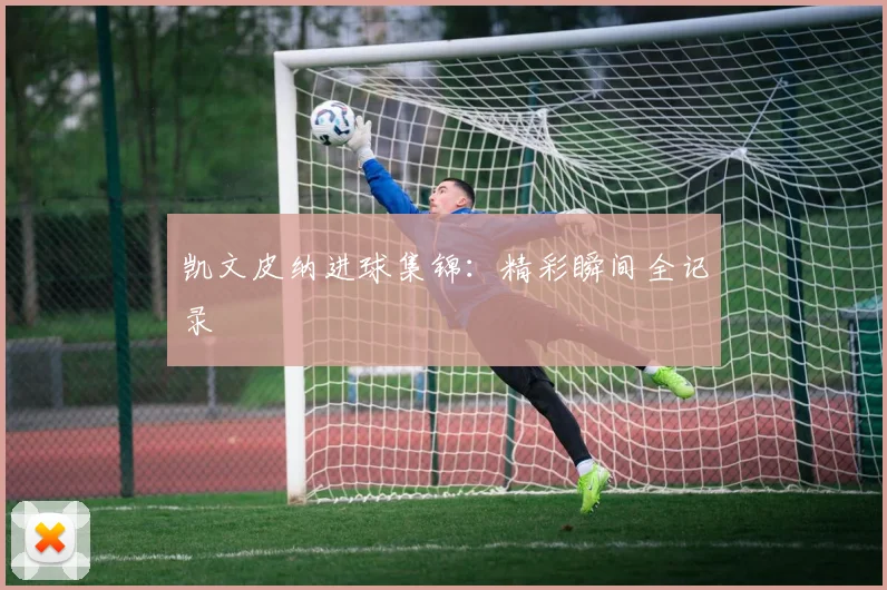凯文皮纳进球集锦：精彩瞬间全记录